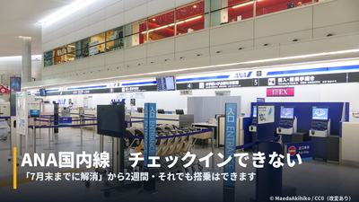 広島空港のANAチェックインカウンター。字幕帯つきカバー画像